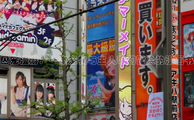 漫蛙官网正版入口